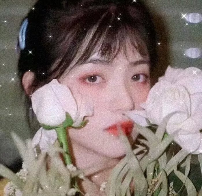 明年此时